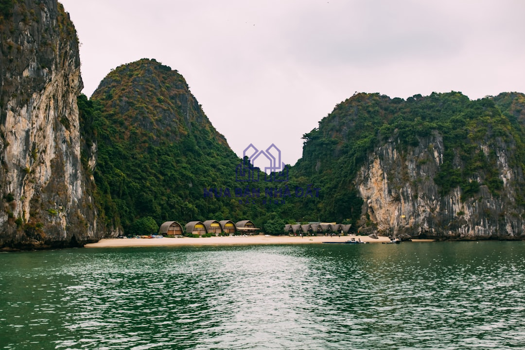 Ibiza Neon Zone - trung tâm giải trí về đêm