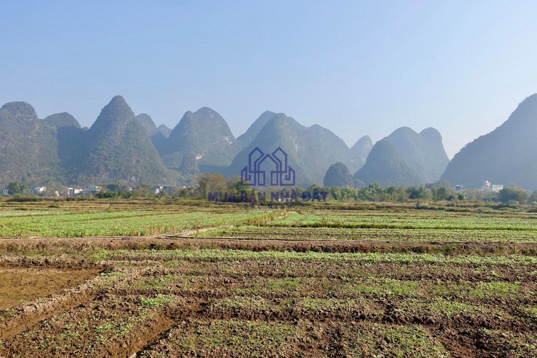 Giảm thủ tục hành chính, đẩy mạnh cải cách quản lý đất đai