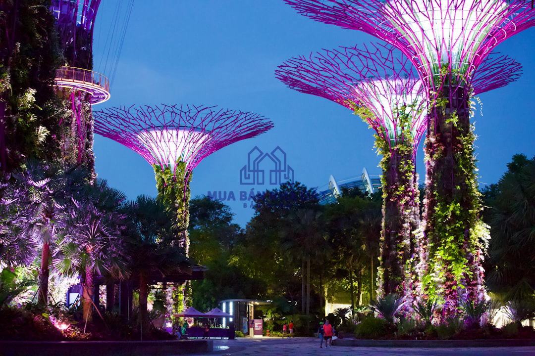 Không gian thương mại sinh thái tại Sky Retreat